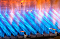 Firsdown gas fired boilers